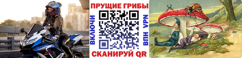это состав  Нюрба  Галлюциногенные грибы MAGIC MUSHROOMS 